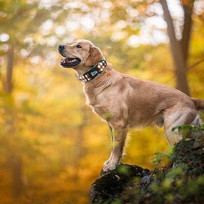 Fall Yellow Plaid Print Dog Collar Adjustable for Medium Dogs