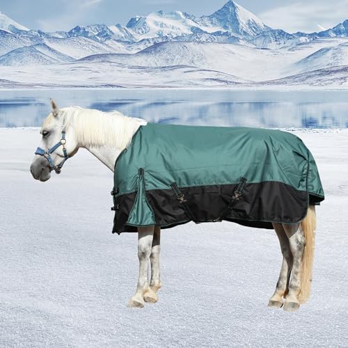 1200D Horse Blanket, 200g Medium Weight Waterproof Winter Turnout