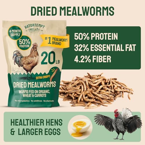 Hatortempt 20lb Dried Mealworms for Chickens & Wild Birds, Chicken Feed