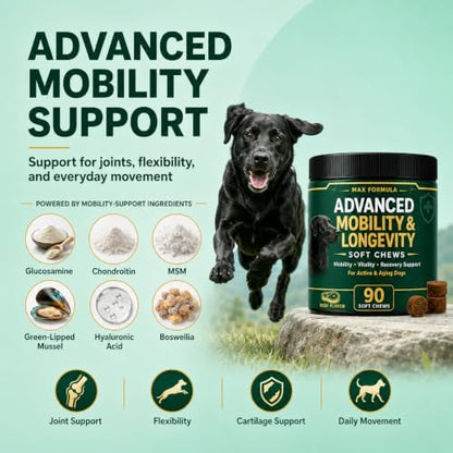 Dog Mobility & Longevity Supplement | Glucosamine | Taurine | L-Carnitine