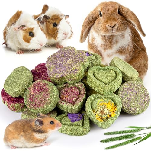 Sofier 20Pcs Timothy Hay Treats - Natural Chews for Teeth - Handmade Rabbit, Chinchilla, Gerbil, Rat, Hamster Toys - Bunny & Guinea Pig