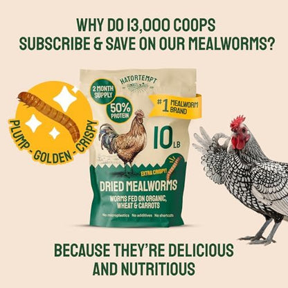 Hatortempt 10lb Dried Mealworms for Chickens & Wild Birds, Chicken Feed