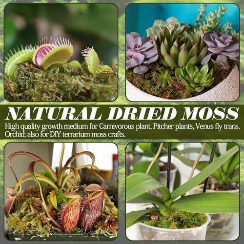 ZeeDix 0.75 lb Sphagnum Moss for Reptiles