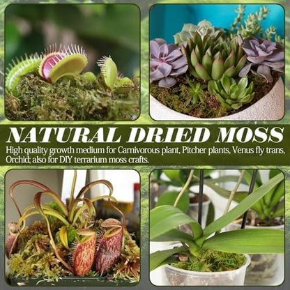 ZeeDix 0.75 lb Sphagnum Moss for Reptiles