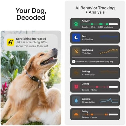 Fi Series 3+ GPS Dog Collar & Tracker, 12-Mo Membership Included, Gray XS