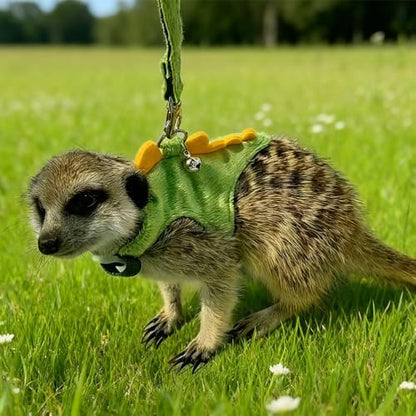 Small Animal Harness and Leash Set, Adjustable Escape Proof Ferret Harness Vest for Adult Ferret, Meerkat, King Squirrel & Fancy Rat, Soft Comfortable Pet Walking Harness with Leash