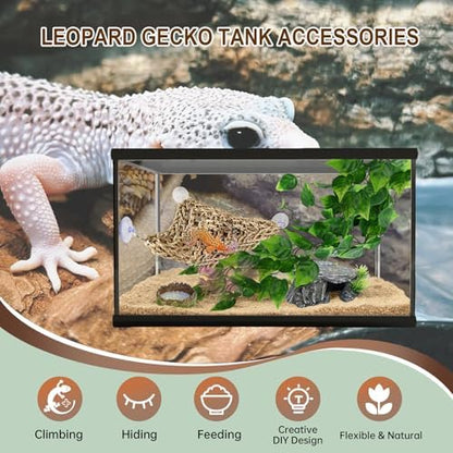 5-in-1 Leopard Gecko Tank Starter Kit, Hide Cave, Seagrass Hammock, Climbing Vine, Tweezers & Dish - 10-20 Gal | Fits Leopard/Crested Geckos, Harmit Crabs, Juvenile Tortoises (Tank Not Included)