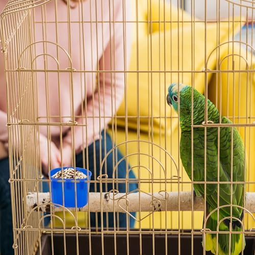 40 Pcs Cage Cups Birds Feeders Bird Water Dispenser Hanging Quail Waterer Plastic Chicken Feeding Watering Dish for Small Coop Parrot Parakeet PET Poultry Gamefowl Food Seed Bowl Supplies(Blue,8oz)