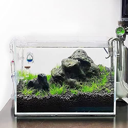 Allcolor Low Iron Glass Ultra Clear Rimless Aquarium Tank (6Gal)