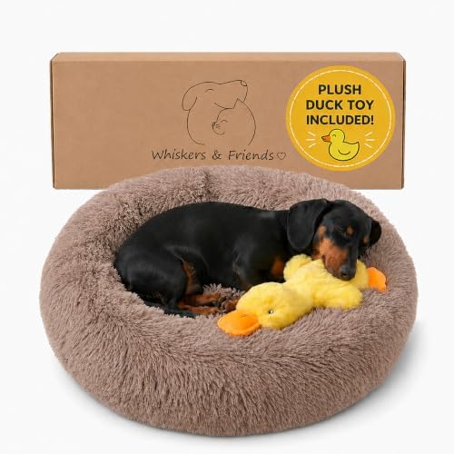 Whiskers & Friends Small Dog Bed, Fluffy Washable Puppy Bed for Small Dogs