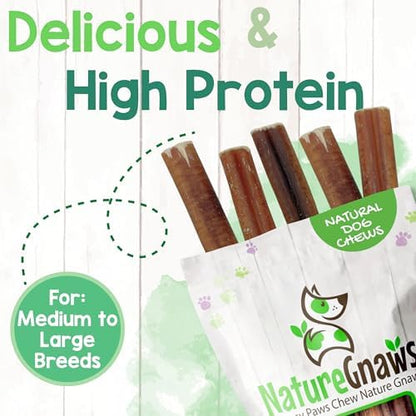 Nature Gnaws Large Bully Sticks 6" Rawhide Free Dog Chews, 10 Count
