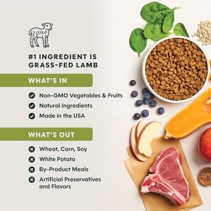 Instinct BeNatural Dry Dog Food, Whole Grain, Lamb & Oatmeal, 24 lb.