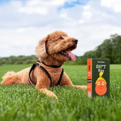 Dog Poop Bags - 60 Count Unscented Leakproof - Stable Genius