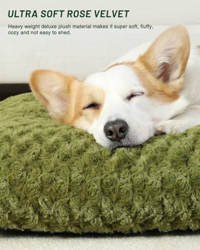 KSIIA Washable Dog Bed Small Dog Crate Bed Deluxe Plush Mat 23"x18" Green