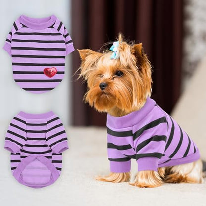 Queenmore Medium Dog Shirt,Soft Breathable Dog Tshirt for Dogs Cats Boy Girl,Pet Clothes for All Season,Breathable Lightweight Pet Tshirt for Frenchie, Dachshund, Yorkie