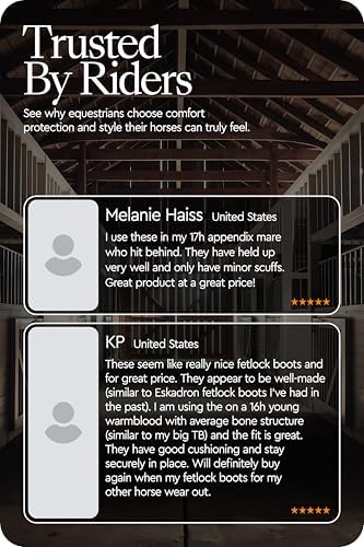 HORZE Chicago Rear Fetlock Boots for Horses, Horse Tendon Boots
