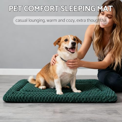 Dog Bed Mat - Dog Crate Pad - Reversible Mat for Pet Comfort - Soft Bed Crate Pads for All Seasons - Durable, Machine Washable Mat for Crates, Travel, and Home (Dark Green, 30" L*20" W*1.5" Th)