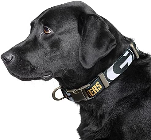Littlearth NFL Detroit Lions Pet Premium Collar, Team Color, Small
