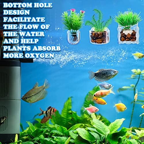 Potchen 20 Pcs Aquarium Plant Holder with Hole Transparent Acrylic Suction Cup Aquarium Aquatic Planter Cups Fish Tank Aquascape Decoration, 3 Shapes