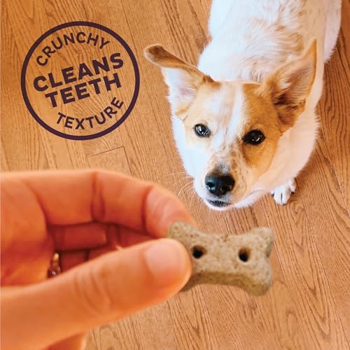 Old Mother Hubbard Wellness P-Nuttier Dog Biscuits, Natural, Training Treats, Peanut Butter Flavor, Mini Size, (20 Ounce Bag)(Pack of 2)