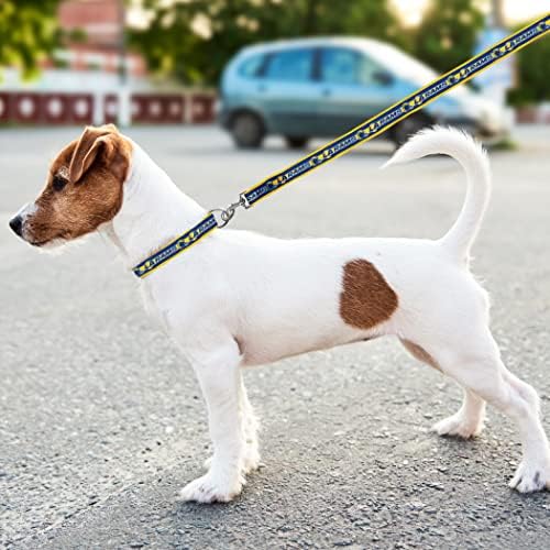NFL PET Collar Los Angeles Rams Dog Collar, Medium Football Team Collar for Dogs & Cats. A Shiny & Colorful Cat Collar & Dog Collar Licensed by the NFL