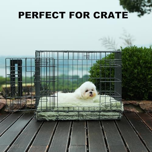 Bedfolks Waterproof Dog Crate Bed, Plush Small Dog Pad, 17"x12", Sage Green