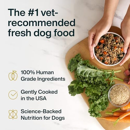 JustFoodForDogs JustFresh Fresh Wet Dog Food or Topper - Beef, 7 Pack