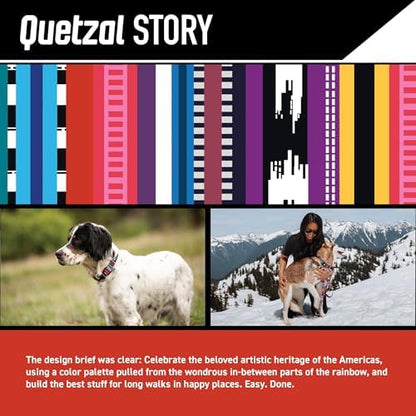 Wolfgang Martingale Dog Collar Quetzal Print Small