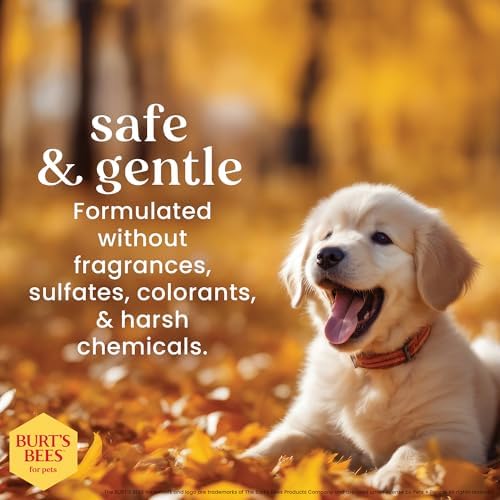 Burts Bees Tearless Shampoo & Conditioner with Buttermilk, 16 Fl Oz, 6-Pk