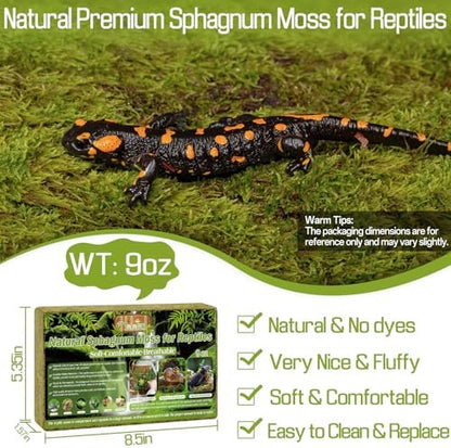 Halatool 9 OZ Sphagnum Moss for Reptiles - Green Terrarium Moss