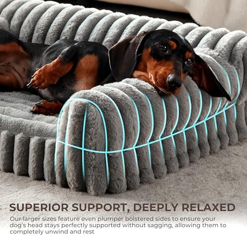 Orthopedic Dog Bed Medium 30x20x8.5” Washable Cover Grey