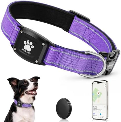 GPS Dog Collar with Tracker, Waterproof, No Monthly Fee, Purple, L