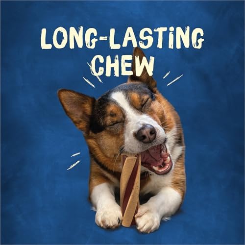 Purina Busy with Beggin Twisted Small/Medium Dog Treats, (2) 6 ct Pouches