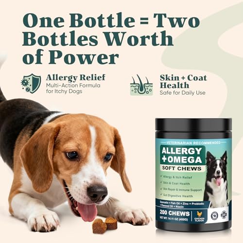 Dog Allergy Chews Omega 3 is Human,Itch Relief Multivitamin Medicine for Dogs Itching Skin Relief and Aller Immune Pet Allergy Dog Anti Itch Chews Pills Meds Medicine for Dogs Chicken Flavor