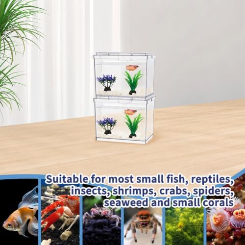 MoonOrange Mini Betta Fish Tank, Small Fish Bowl for Temporary Space, 0.2 Gallon Stackable Cube Tank with Artificial Plants and Gravels for Small Fish, Insect, Shrimp, Crab, Spider. (Pack-2)