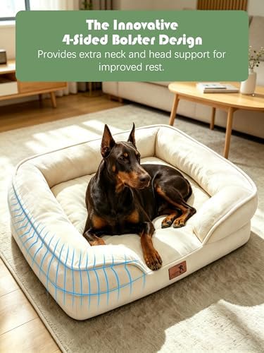 Spotted Play Orthopedic Dog Bed with Sides - Sofa Beds for Extra Large Dogs, Supportive Foam Pet Couch Bed with Washable Removable Cover, Waterproof Lining and Non-Slip Bottom, Ivory - XL-Plus
