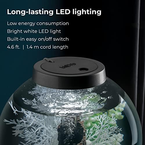 biOrb Classic 30 Acrylic 8-Gallon Aquarium with White LED Lights Modern Tank for Tabletop Display, Silver