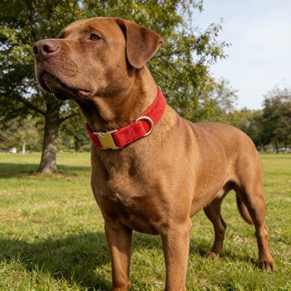 Soft Corduroy Fibric Dog Collar with High Grade Metal Buckle, for Large Dogs.(Red,Large:17-26")
