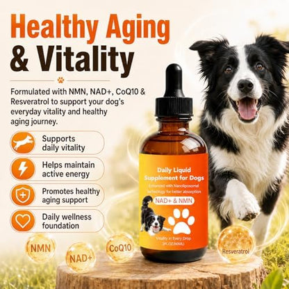 Dog Longevity Supplement with NMN, NAD+, CoQ10 & Resveratrol