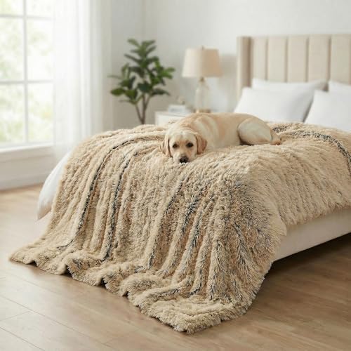 PJYuCien Lightweight and Portable Soft Dog Blanket, 60"x80", Beige