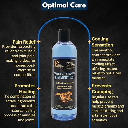 E3 Joint and Muscle Lin Non-Greasy Herbal Gel with Mint – 12 oz Cooling Botanical Equine Gel for Post-Workout Massage and Daily Comfort – Fast Absorbing, No Residue