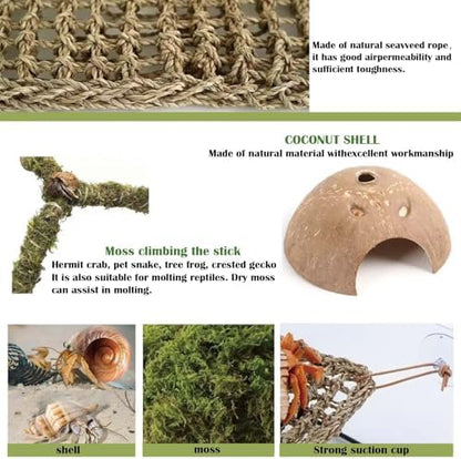 Hermit Crab Accessories – 8PCS Natural Hermit Crab Toys Climbing Bridge, Shells, Coconut Hideout, Moss and Plants for Hermit Crabs Habitat & Reptile Tank Decor