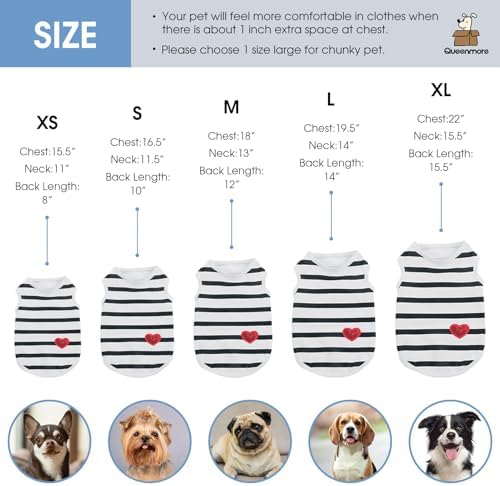 Queenmore Large Dog Shirt,Soft Breathable Dog Shirt for Dogs Cats Boy Girl,Pet Clothes for All Season,Breathable Lightweight Pet Tshirt for Frenchie, Dachshund, Yorkie