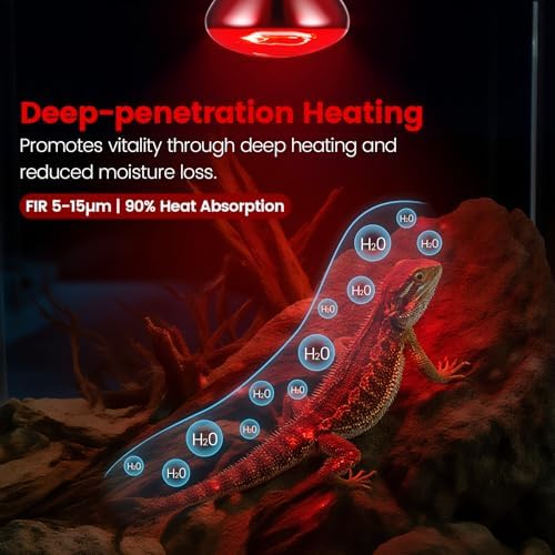 REPTITRIP Dual Reptile Lamp Fixture with 100W Daytime Heat & 100W Nighttime Infrared Heat Bulbs, 2 Independent Switches, Reptile Heat Lamp Combo Pack - No UVB