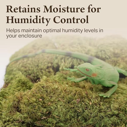 Mood Moss for Terrarium Habitats, Medium 2-Pack