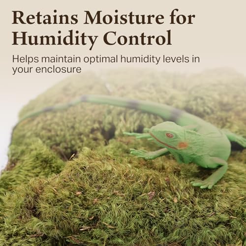 Mood Moss for Terrarium Habitats, Small 1-Pack