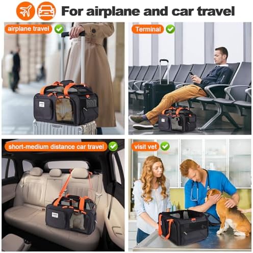 pidipiti 19x13x9 top Expandable pet Carrier, for Small Dog/cat up to 10 lbs