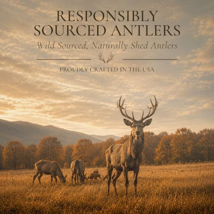 WhiteTail Naturals 6 Pack Whole Deer Antlers for Dogs, Small 4-6 Inch