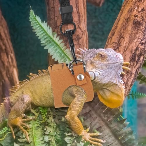 Bearded Dragon Leash & Harness Set