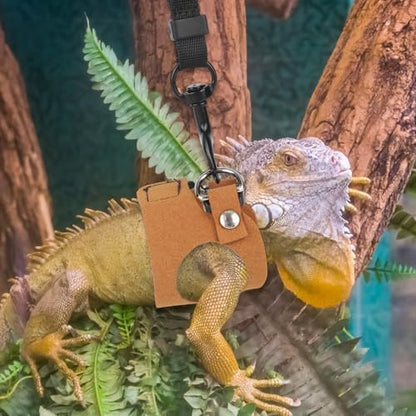 Bearded Dragon Leash & Harness Set